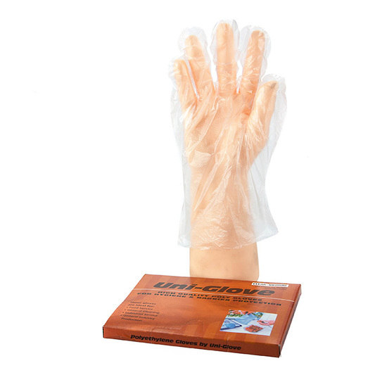 Polyethylene PE Clear Gloves LARGE - Bastion