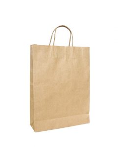Twisted Handle Paper Bags Medium