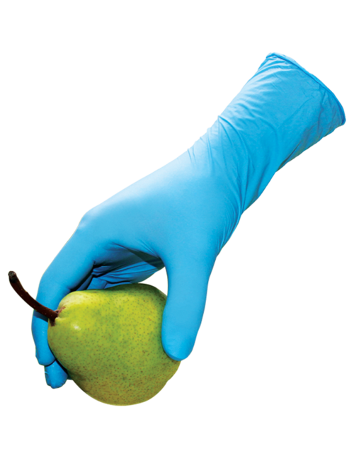 Nitrile Blue Powderfree LARGE - Microlite 100