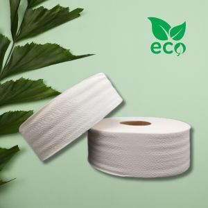 Avoid Greenwashing: How to Choose Truly Eco Jumbo Toilet Rolls