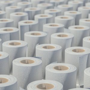 Why Is Recycled Toilet Paper the Eco-Friendly Choice?