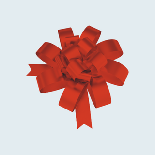 Silver Pull Bows for Gift Wrapping NZ | Insinc