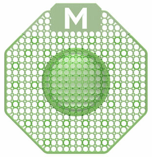 Scented Enzyme Block Urinal Screen - Green, Cucumber Melon Pack 10 - Matthews